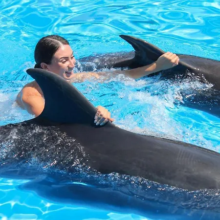 Apartment Quinta Palmeiras Pool & In Pera Porches (Algarve)